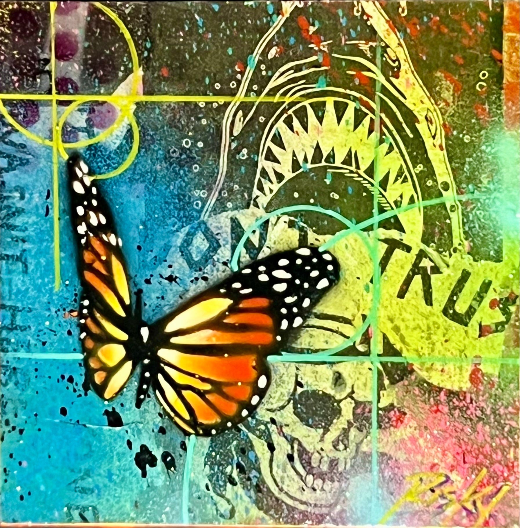 Risk & Travis Barker - DTA Shark